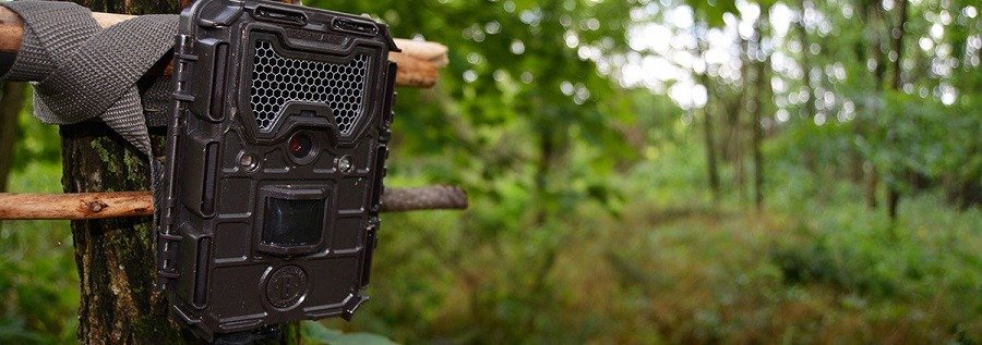 The Complete Guide To Getting The Best Trail Camera