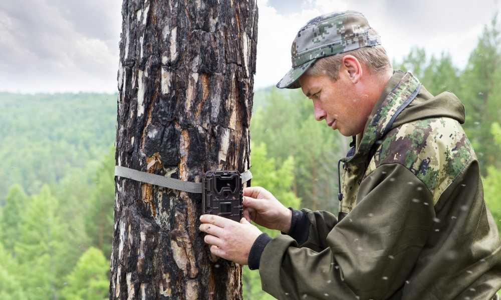 Elepawl Wildlife Hunting Game Camera Review (2) Elepawl Wildlife Hunting Game Camera Review
