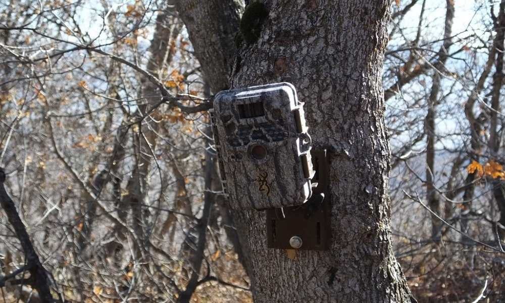 Best Trail Camera Under 100: Why Is It Important For Hunting?