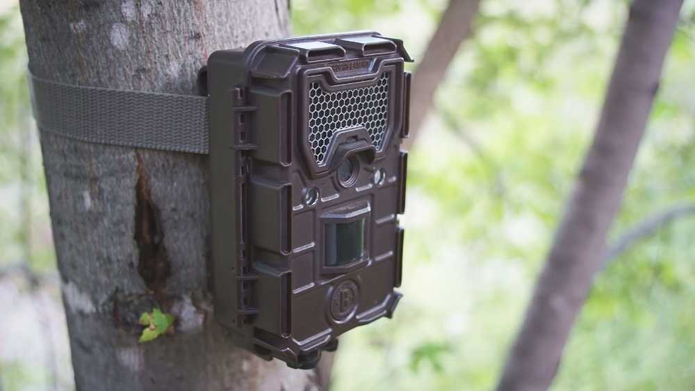TEC.BEAN Trail Camera A Review TEC.BEAN Trail Camera: A Review