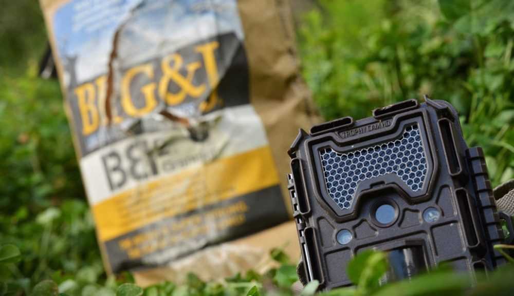 VicTsing Trail Camera: A Review