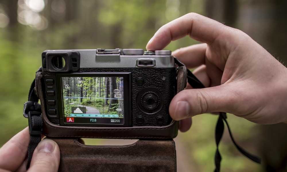 Best Wireless Trail Camera